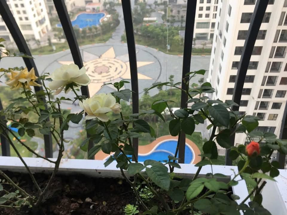 2BR apartment in Bac Tu Liem — photo 4