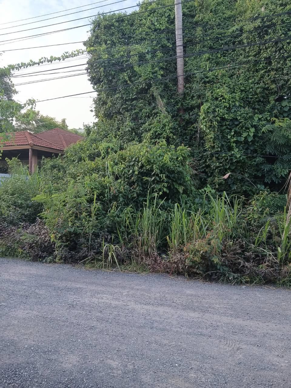 2BR house for sale in Rawai — photo 3
