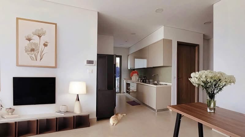2BR apartment in Ho Chi Minh City — photo 3