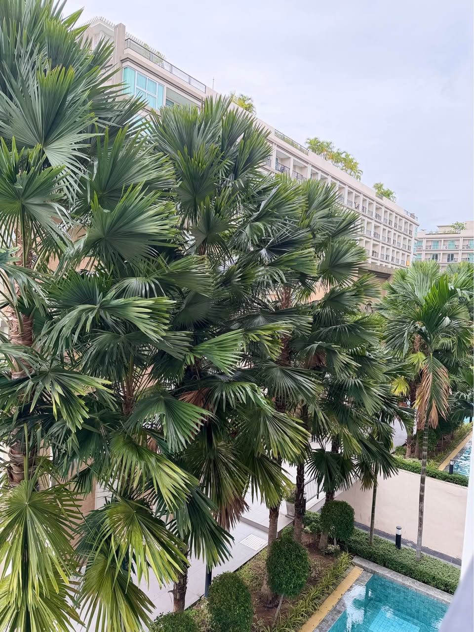 1BR condo in Jomtien — photo 4