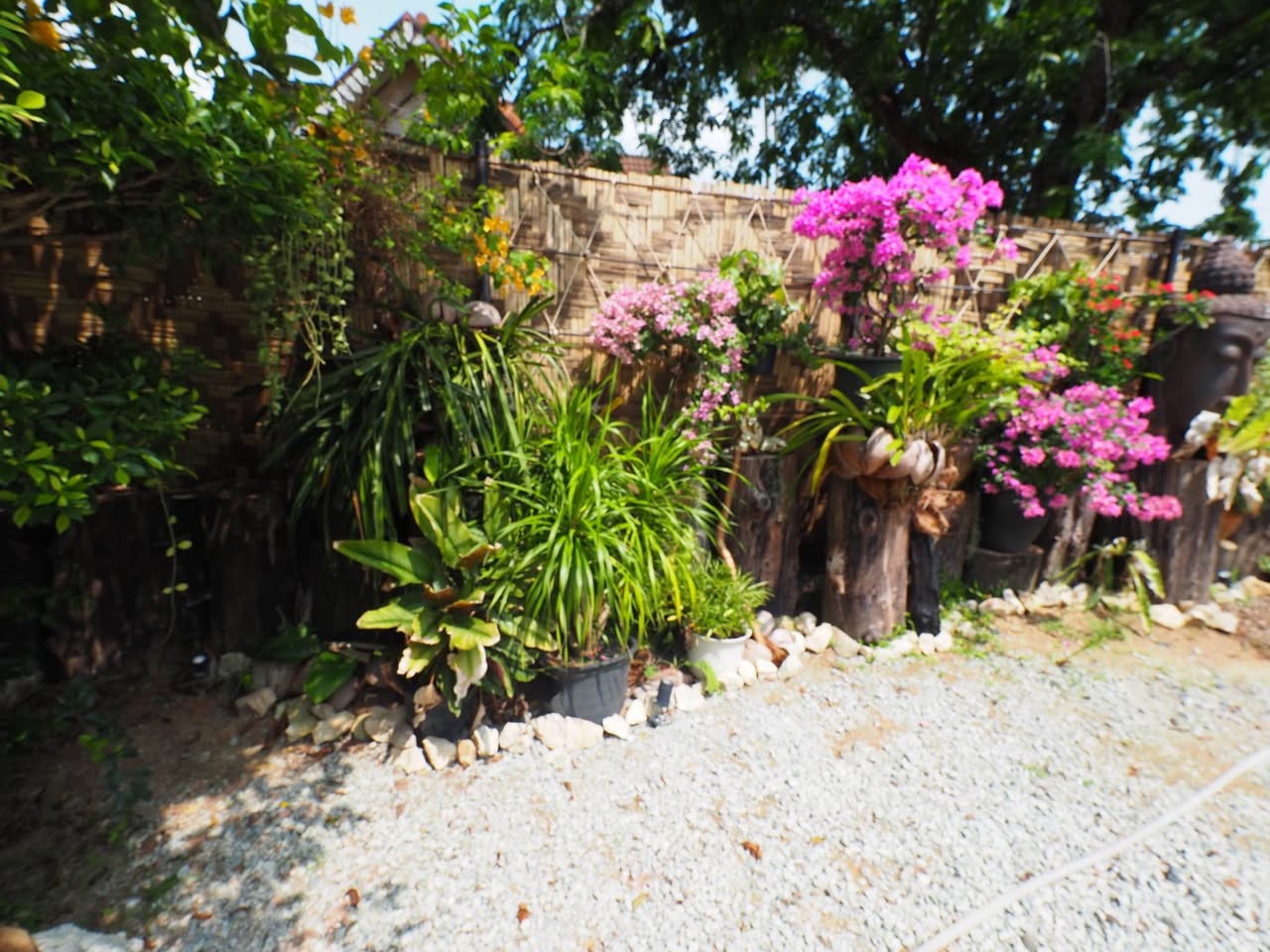 Studio studio in Chalong — photo 4