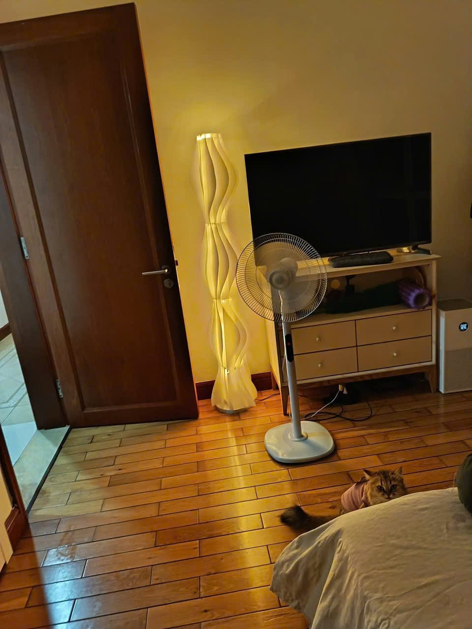 2BR apartment in Binh Thanh — photo 2