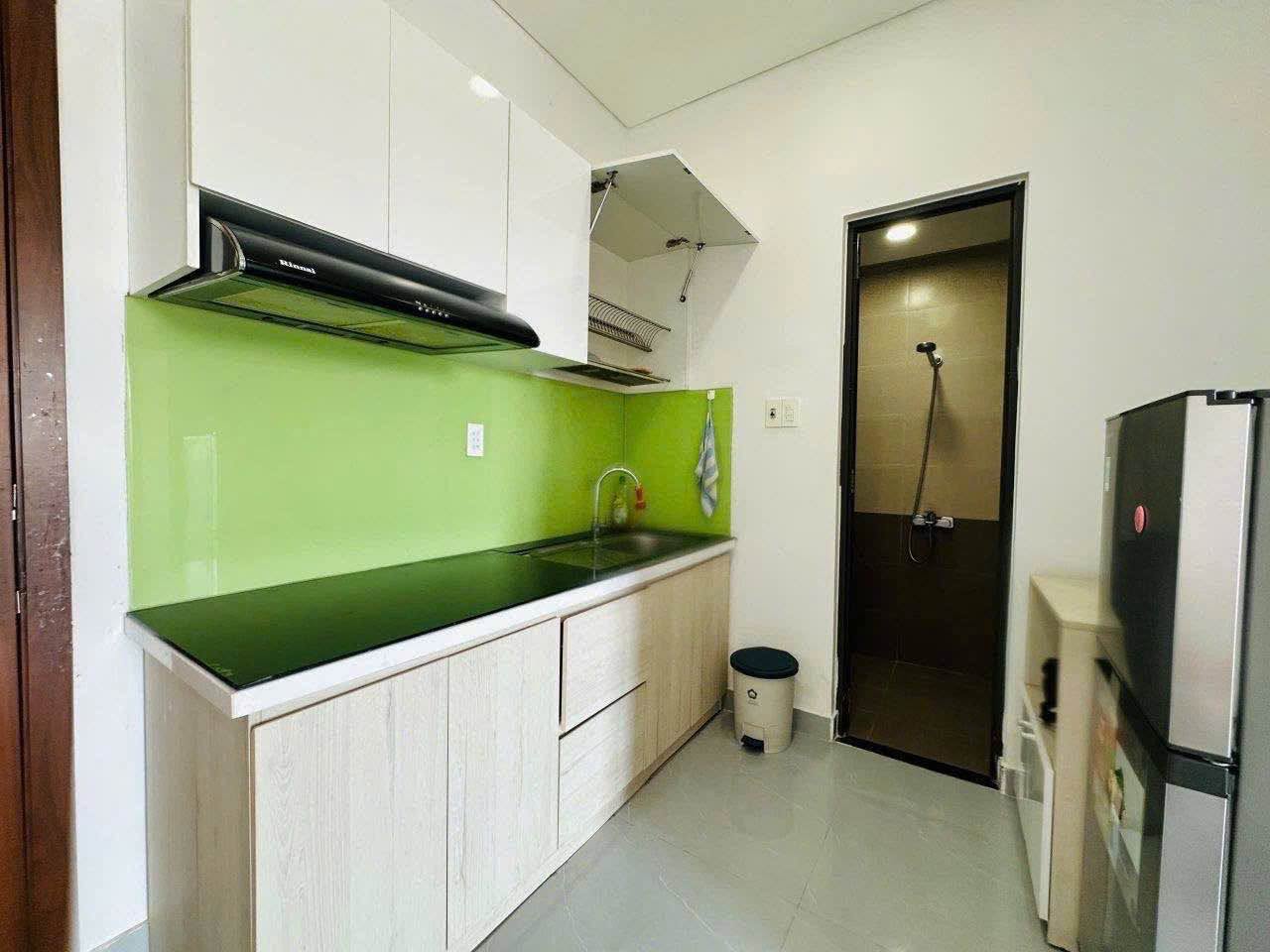 1BR apartment in Ngu Hanh Son — photo 5