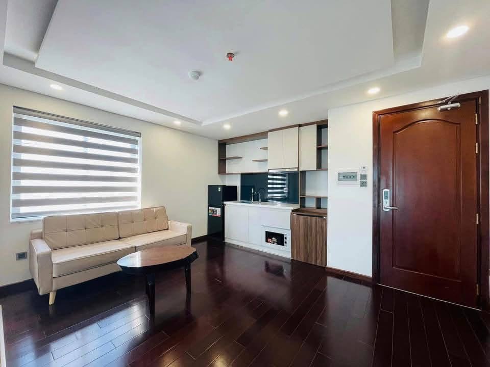1BR apartment in My An — photo 2