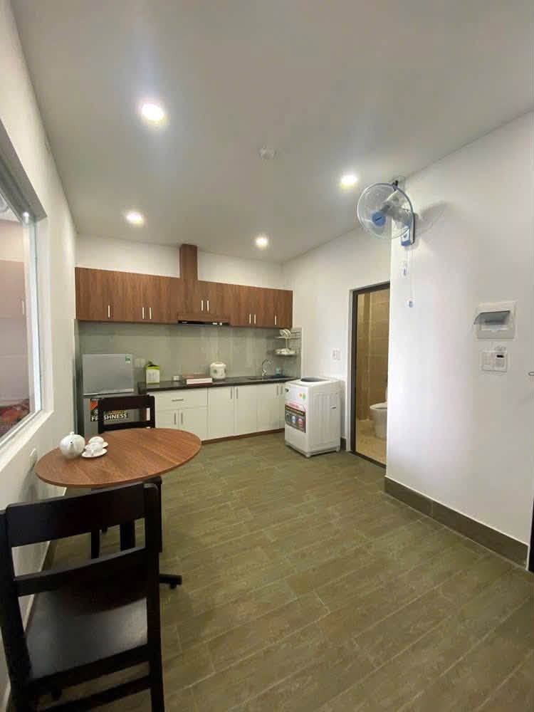 1BR apartment in My An — photo 3