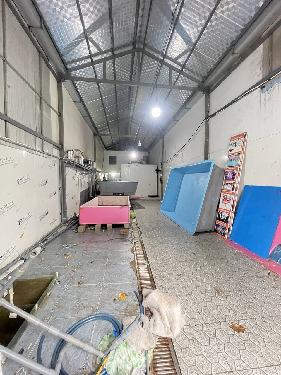 rental in Son Tra — photo 3