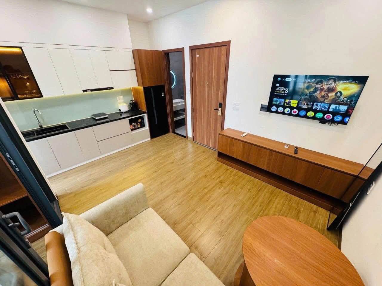 1BR apartment in Son Tra — photo 2