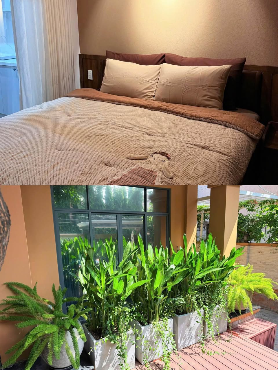 2BR apartment in Thao Dien — photo 4