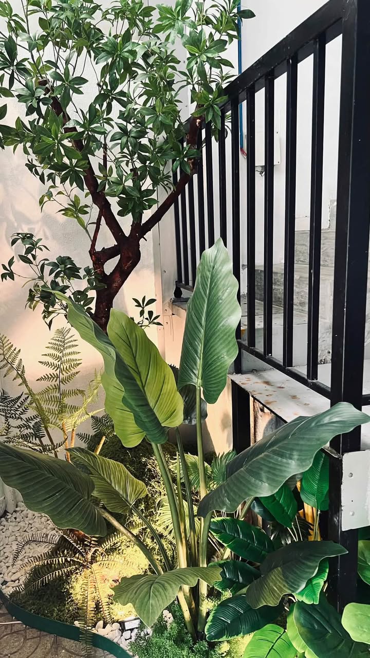 3BR house in Son Tra — photo 2