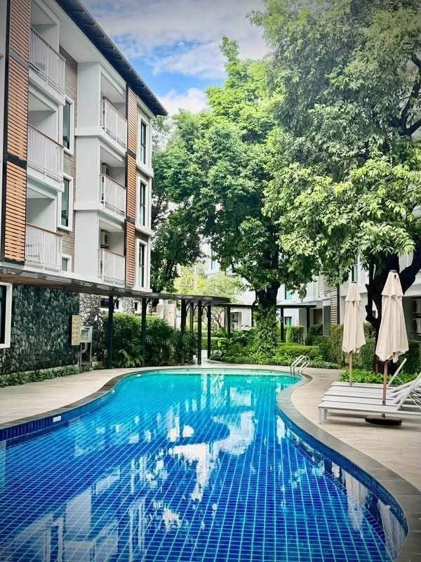 1BR apartment in Rawai — photo 2