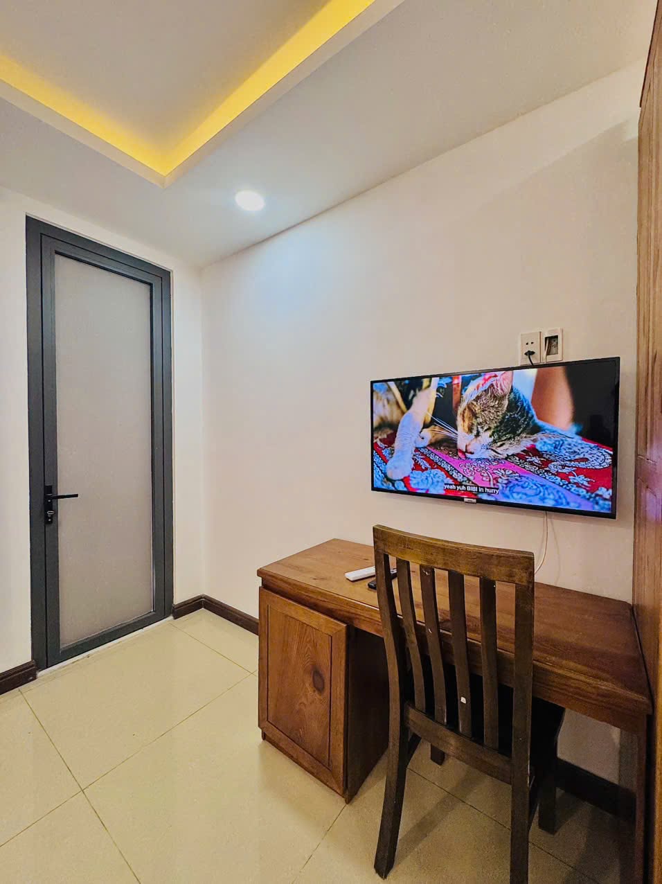 1BR apartment in Son Tra — photo 4