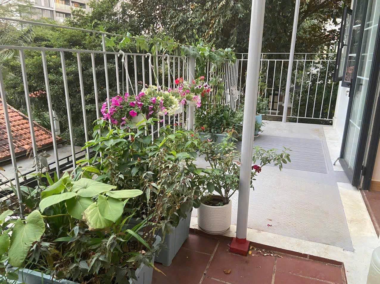 2BR apartment in District 2 — photo 4