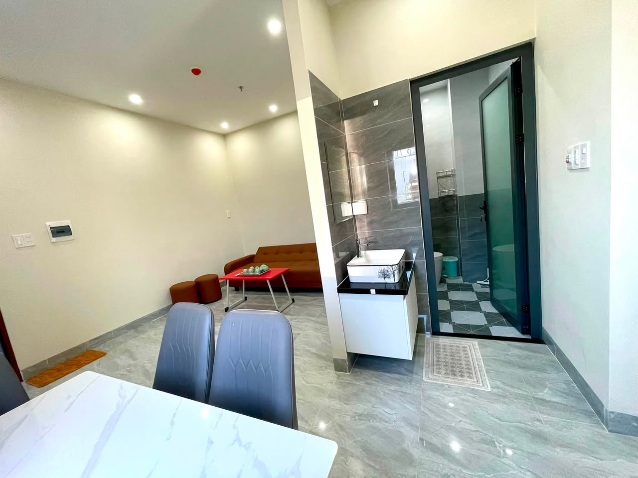 1BR apartment in Hoa Xuan — photo 4