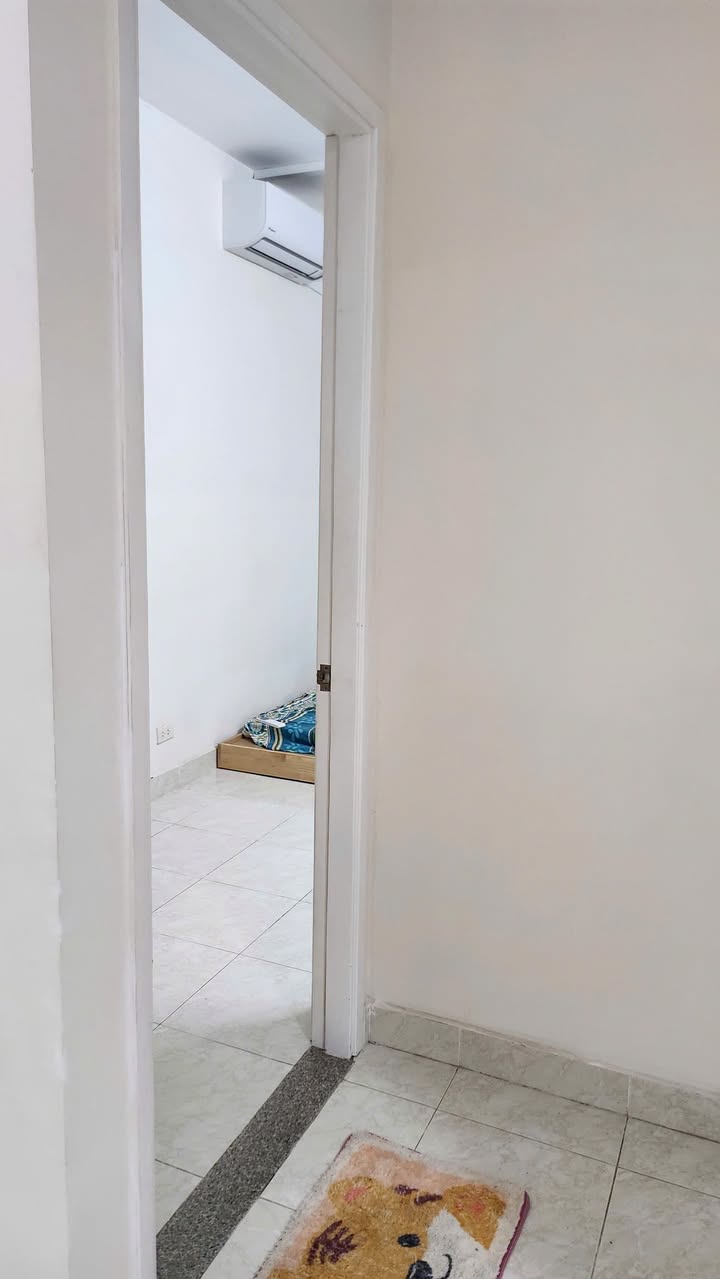 2BR apartment in Binh Thanh — photo 3