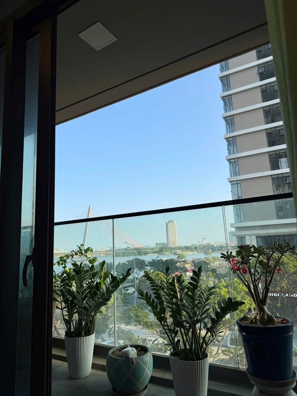 1BR apartment in Da Nang — photo 4