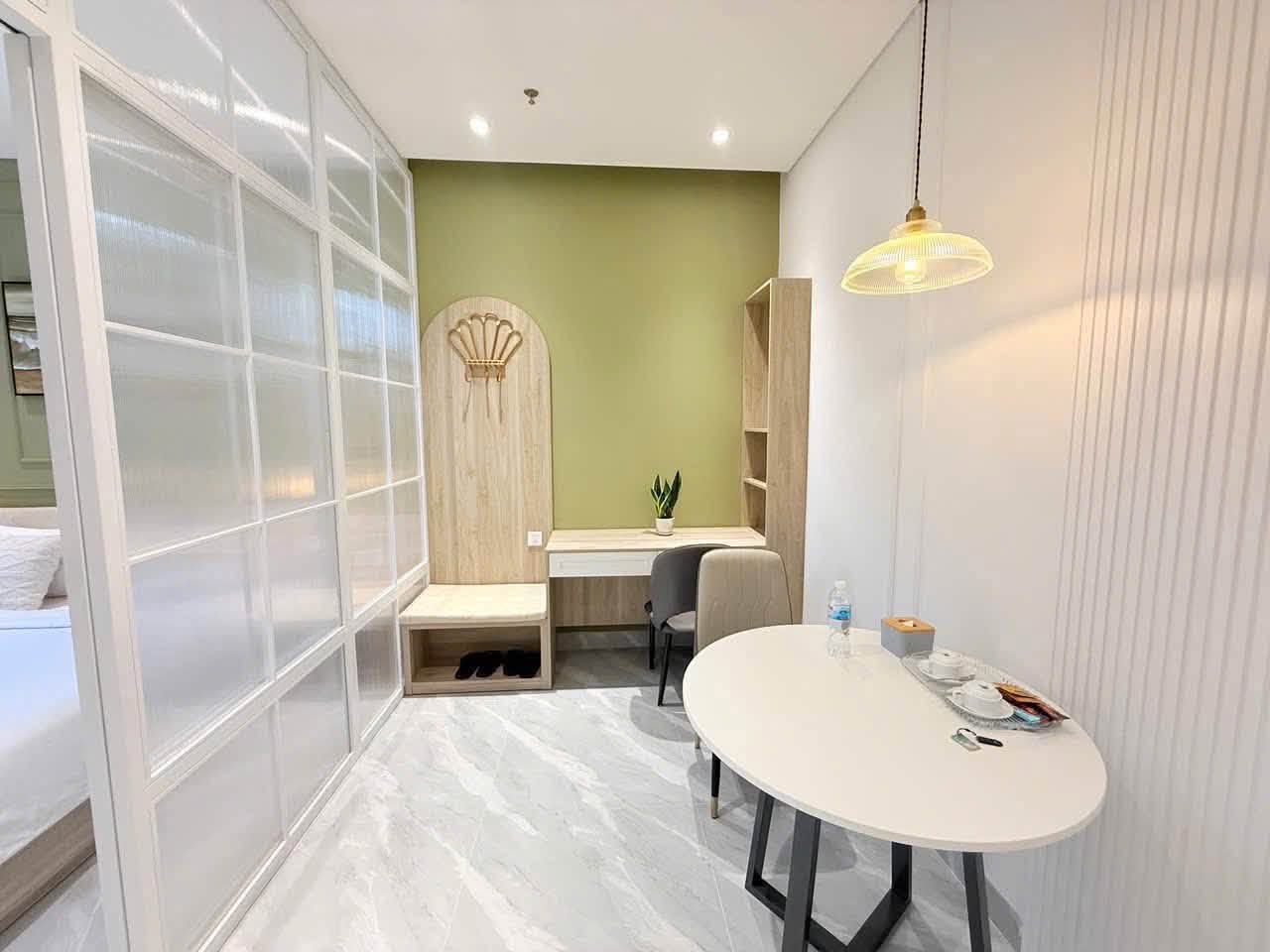 1BR apartment in Son Tra — photo 4